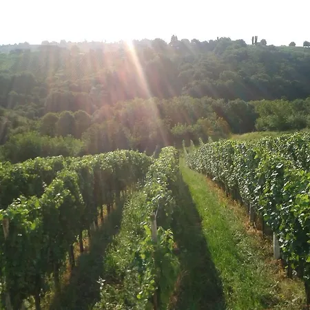 Turisticna Kmetija Dervaric * 류토메르