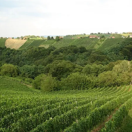 Turisticna Kmetija Dervaric Agroturismo Ljutomer