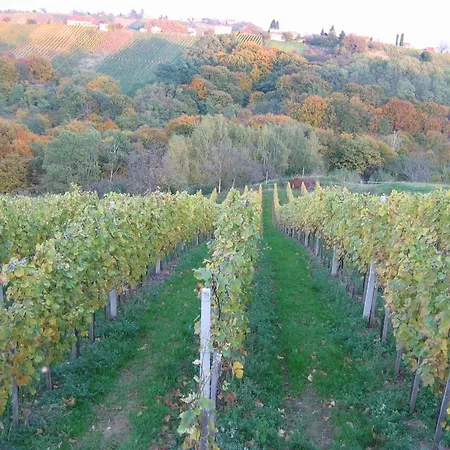 Farma Turisticna Kmetija Dervaric *