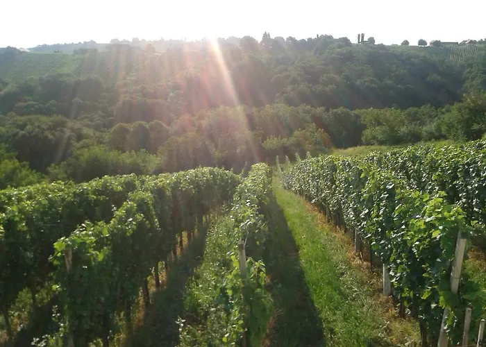 Turisticna Kmetija Dervaric * 柳托梅尔