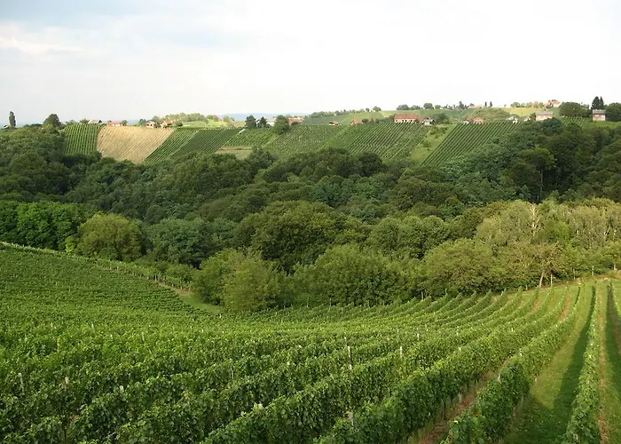 Turisticna Kmetija Dervaric Alojamento de Turismo Rural Ljutomer