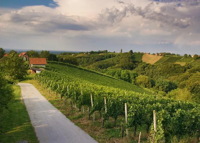 Alojamento de Turismo Rural Turisticna Kmetija Dervaric Ljutomer