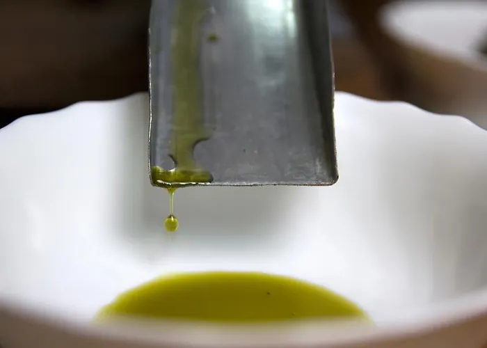 Turisticna Kmetija Dervaric 农家乐 柳托梅尔