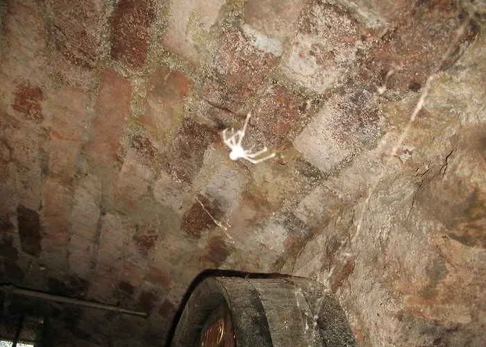 Alojamento de Turismo Rural Turisticna Kmetija Dervaric