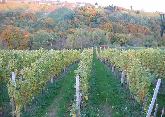 Alojamento de Turismo Rural Turisticna Kmetija Dervaric *